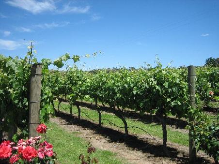 Weinprobe war natuerlich inklusive.