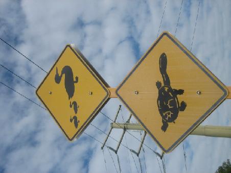 Australische Roadsigns.