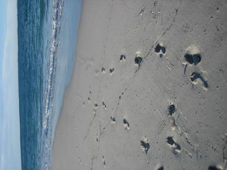 Fussspuren im Sand.