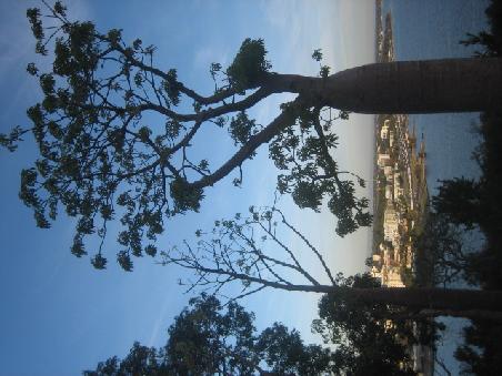 Kings Park.