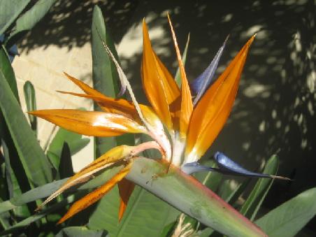Blume in East Perth.