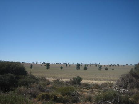 Irgendwo zwischen Perth und Hyden.