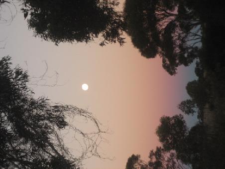 Sonnenuntergang mit Vollmond.