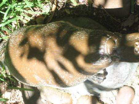 Das ist ein Playtapus...die haben in Healesville alle Tiere als Modell nachempfungen damit Blinde fuehlen koennen wie diese Tiere "aussehen".