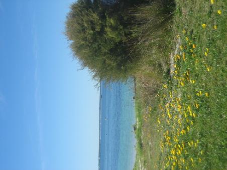 Und hier mit Meer im Hintergrund.