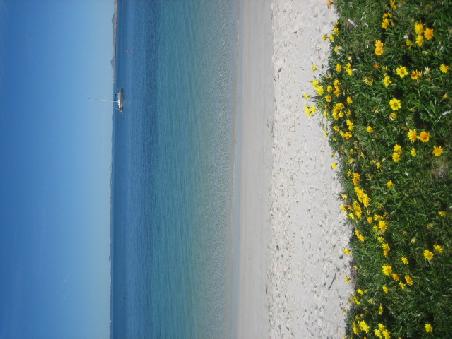 Und nochmal.