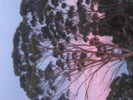 Tolle Farben.