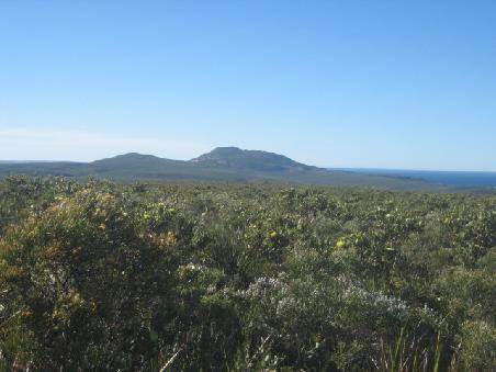 Aussicht vom Sepularis Hill.