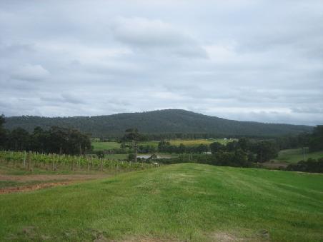 Blick uebers Weingut.