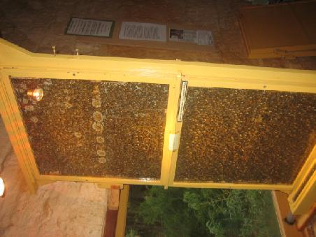Hier waren wir in der Probierstube mit Honigwein, Honigeis und echt leckerem Honig. Und hier die Bienen dazu.