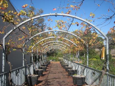 Weingut zwischen Busselton und Bunbury.