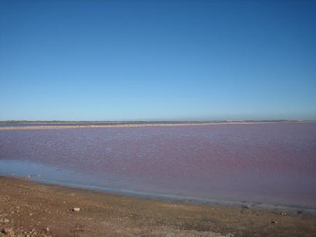 Pink Lake.