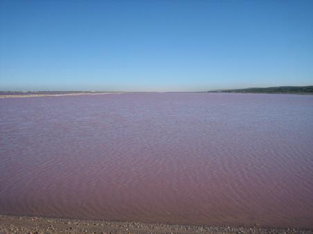 Immer noch pink.