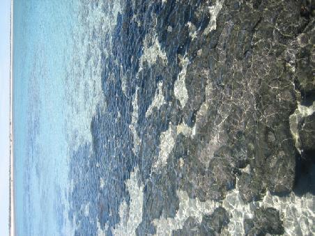 Stromatolites.