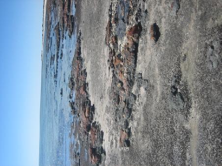 Und noch ein Bild von den Stromatolites.