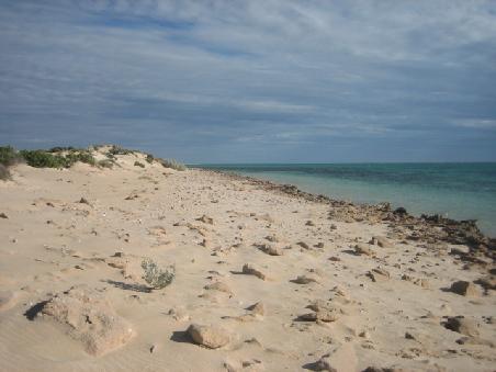 Kori Bay.