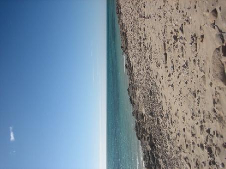 Kori Bay.