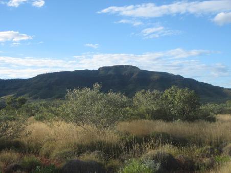 Mount Bruce.