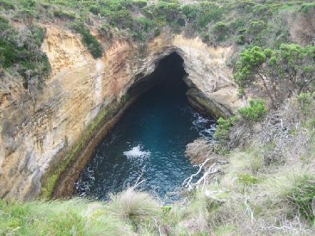 Blowhole.