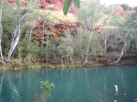 Fern Pool.