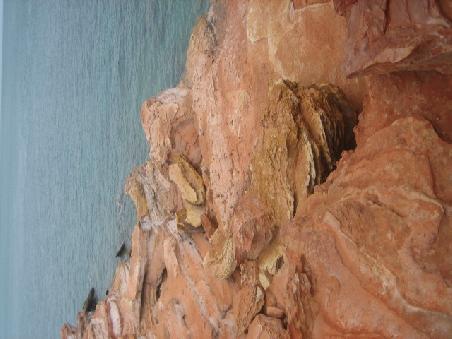 Am Gantheaume Point.