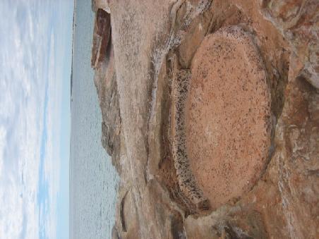 Anastacia's Pool.