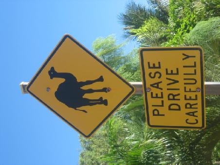 Witziges Roadsign.