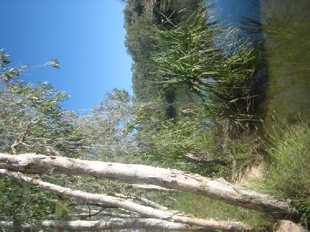 Manning Gorge.
