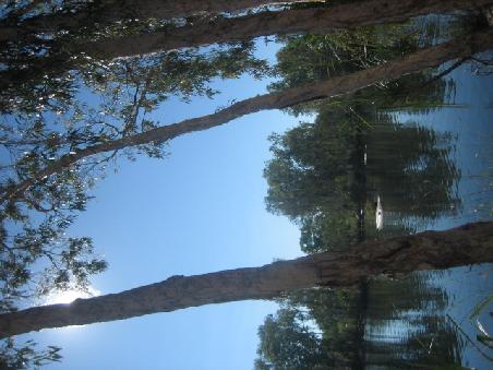 Manning Gorge.