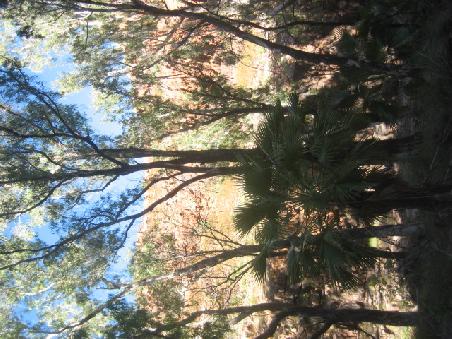 Amalia Gorge.