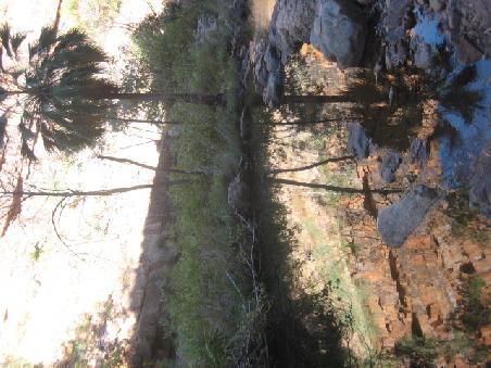 Amalia Gorge.