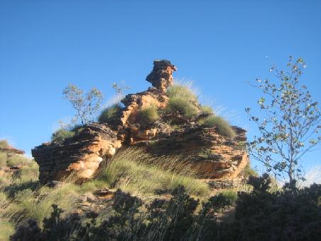 Im Mirimar National Park.