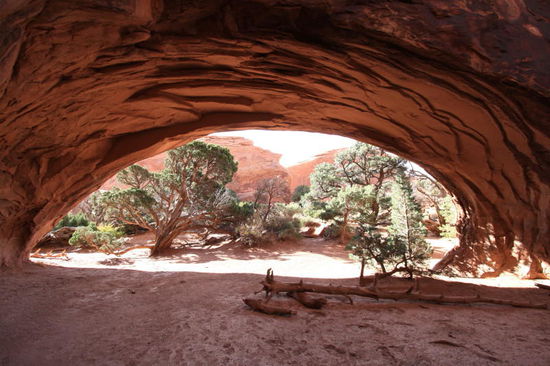 Um den Navajo Arch zu erreichen, muss man eine längere Wanderung auf sich nehmen