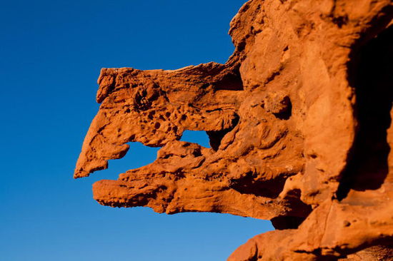 Und das ist Kermit aus der Muppet Show!