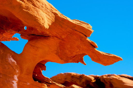 Den kenne ich auch irgendwoher - war das nicht Pinocchio?