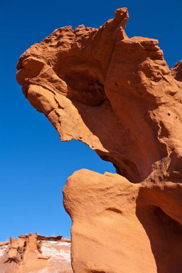 Es ist schon gruselig, was die Natur hier erschuf