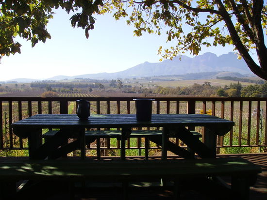 hier haben wir wein getestet