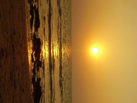 Sonnenuntergang in Anjuna, Goa. Sehr nett, oder?