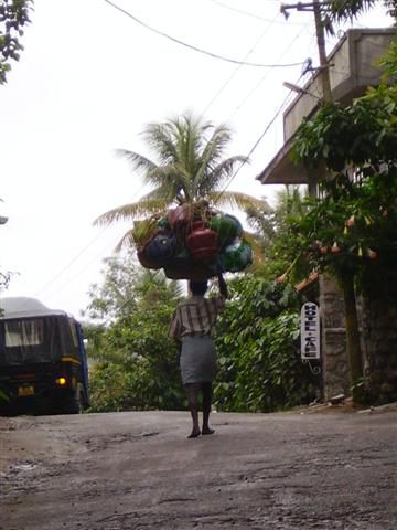 Bottichtransport