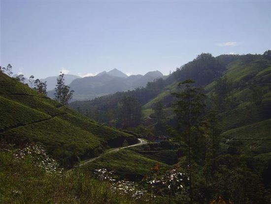 Munnar!!!