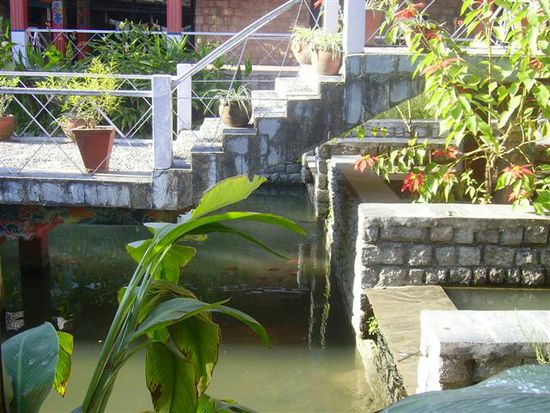 der teich in dem tempelgarten