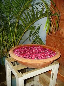 und nur als beweisstueck - die rosenblaetter! *g*