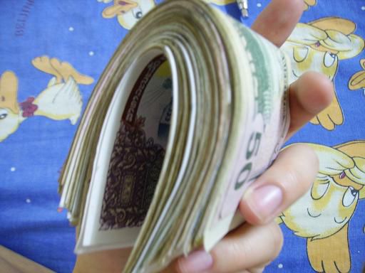 i'm rich! 1 doller sind 9640 kip. also koennt ihr euch ja mal ueberlegen, dass mann..aehm... 482.000 kip bekommt,wenn man 50 dollar wechselt! wow!