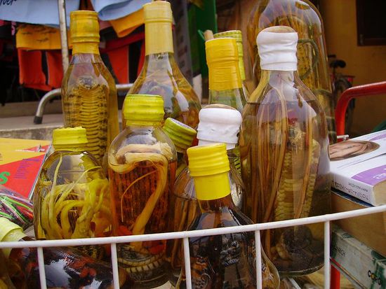 ekelige schlangen und zeugs in flaschen..gruselig
