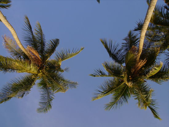 mein ausblick am strand