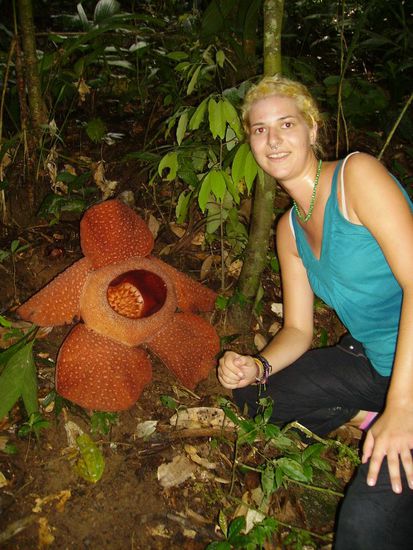 damit ihr mal seht, wie gross die so sind.