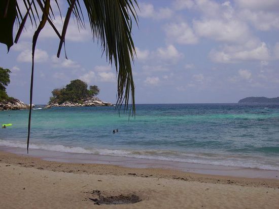 der strand mit den gemeinen sandmuecken. tioman island