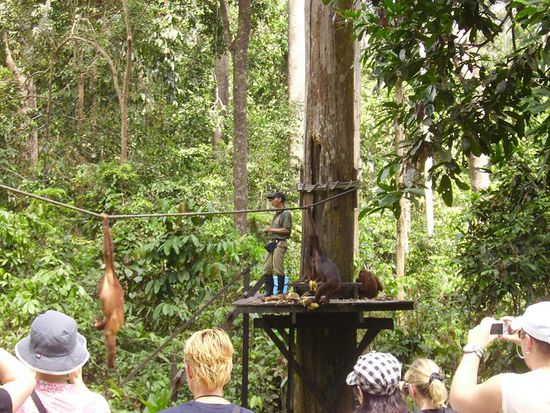und weg isser.. da koennen auch alle anderen essen kommen..