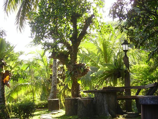 wirklich schoen, oder?