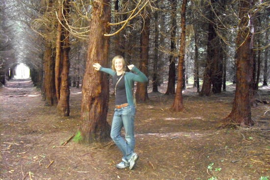 Hiermit kennt sich der Deutsche schon eher aus - in einem wohlgeordneten Fichtenwald